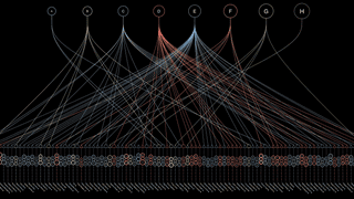 What the top 100 female porn stars look like in one fascinating chart